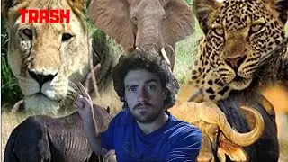 The big 5 ranking