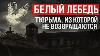 ДВЕ ДОРОГИ ДЛЯ ВОРОВ: ЛИБО «ПЕТУХ», ЛИБО «КРАСНЫЙ» | БЕЛЫЙ ЛЕБЕДЬ: КАК ЛОМАЛИ ВОРОВ В ЗАКОНЕ
