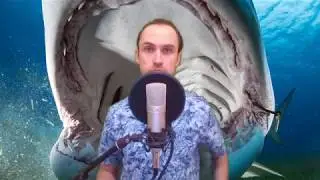 Пишем Telegram Bot - Randomizer на python #2. Два способа обхода блокировки РКН
