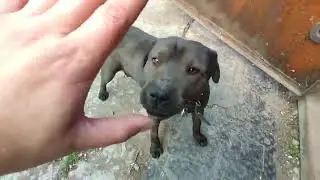 Новая затея, из г..вна конфета))))