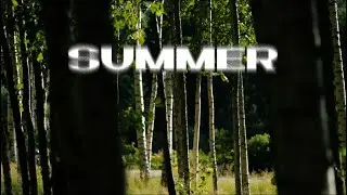 Добры летний  VIBE #ведущийнасвадьбу