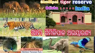 #Similipal Tiger Reserve Video HD || Documentary Film Simlipal Abhayaranya,Mayurbhanj,Odisha,India