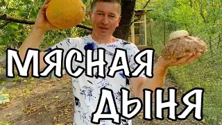 МЯСО В ДЫНЕ #вкусно #eating #like #рецепты #fashion #youtube #shorts #india #usa #love #live #cookin
