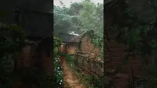 Nature ❤️🌧
