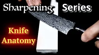 Basic Knife Anatomy
