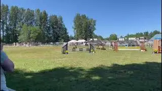 Ainsley & Beau Tie Jumper .85 on grass, A2.1 1st Place