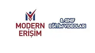 8  Sınıf Fen Bilimleri Besin Piramidi