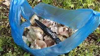 Пошли в мае за грибами. Майлисай. Бедресай. Горы. Киргизия.