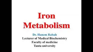 Lecture 2 iron metabolism (biochemistry)