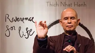 The First Mindfulness Training | Thich Nhat Hanh