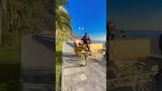 Карета в Гагре