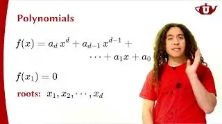 SIGGRAPH 2022 Talk - A Fast & Robust Solution for Cubic & Higher-Order Polynomials