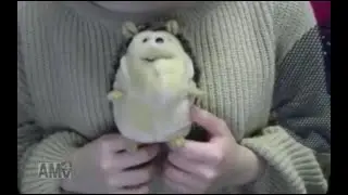[Review] Hedgehog Plush Toy