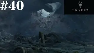 TES V: Skyrim - N40. Святилище Великого Древа.