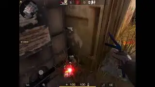 😨бомба научилась ходить