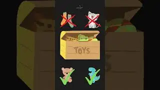 Statically Typed Languages | The Fun and Animated Guide | Programming Fundamentals 