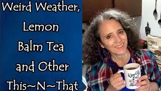 Weird Weather, Lemon Balm Tea, and Other This~N~That