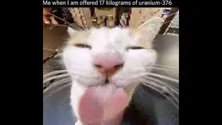 проект зомбоид потомучто я скоро от скуки умру