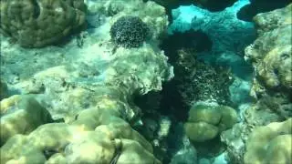 Snorkeling Surin Island, Thailand