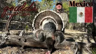 Goulds Royal Slam Mexico Part 2