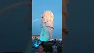 Singapore Merlion Spilling Water To Sea | Singapore Favorite Tourist Attraction