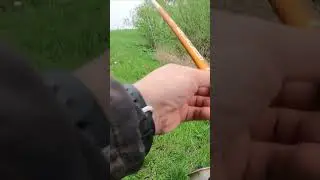 Здоровый КАРАСИЩЕ попался #рыбалка #рыбалка2023 #fishing