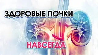 НСП для почек - Мальцева Марина