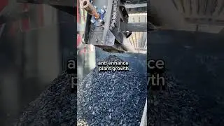 Organic Carbon Content in Biochar as the Main Indicator of Biochar Characteristics
