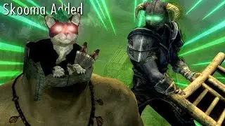 Goofy Skyrim Mods Experience