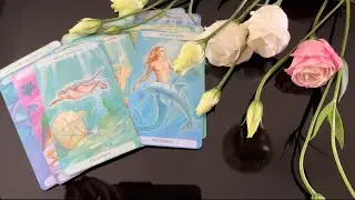 Состоится ли встреча 