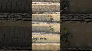 Waste gas fired brick factory