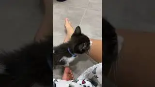 Leg lick