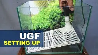 Setting Up Undergravel Filter Nano Tank Aquascape