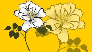 How to tracing Flower Lily using Corel DRAW