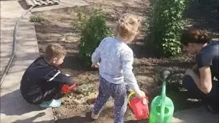 МОРОЗЫ  и НЕ ВСХОДЯТ СЕМЕНА У родителей в селе