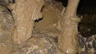 Когда сделают дорогу???