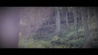 iPhone 12 Pro Max 4k footage: Gunma, Japan
