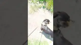 Мы снова в активе!Ссори за отсутствие🥺❤️