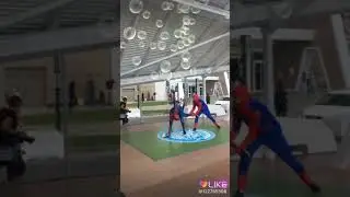 Пати у пауков