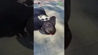 Курсовые заметки 📝