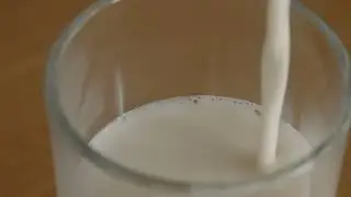 GRAEF Milchaufschäumer MS902 Produktvideo