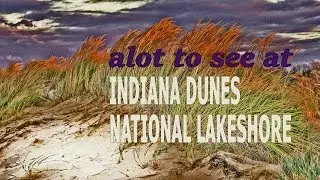 Tops activities at Indiana Dunes on Lake Michigan