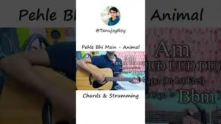 Pehle Bhi Main | Animal | Chords & Strumming #shorts #youtubeshorts #trending #fyp #animal