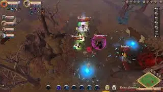 doOb Vs Echo