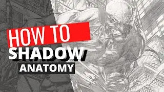 How to Shadow Anatomy