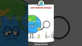 Stop Painting Turtles #shorts