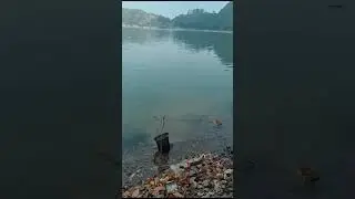 Strike ❗❗ Mancing Hampala di Telaga Ngebel Ponorogo