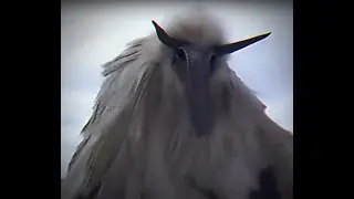Opium Bird beat 2027