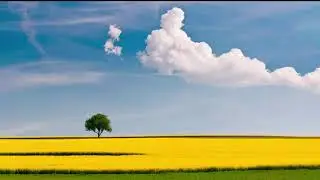 Chopin - Nocturne Op. 48 No. 1 slowed down + reverb