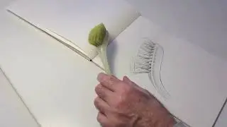 Etwas Zeichnen, Thema »Bürste« / Gerd Hauser